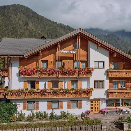 Residence Alpenrose Rasùn di Sotto エクステリア 写真